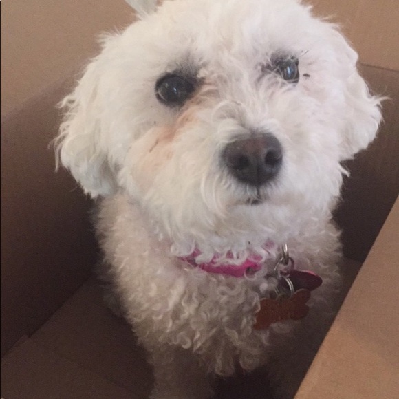 Meet your Posher, Gabby - Picture 3 of 3